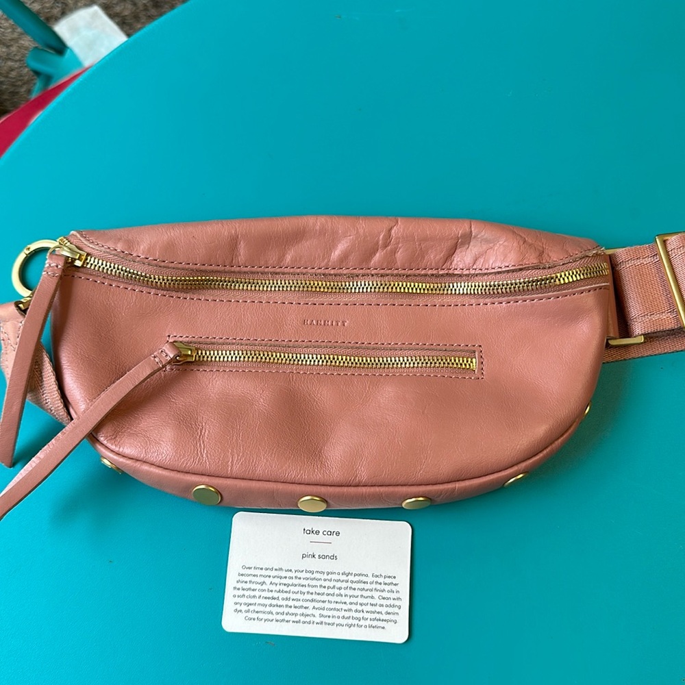 Hammitt Charles Leather Crossbody Pink Sands.